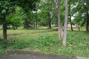 project