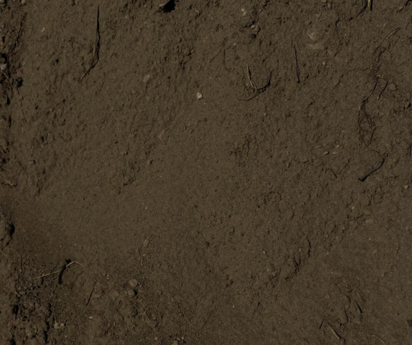 347415818 919234222706004 4554339321973058002 n 1