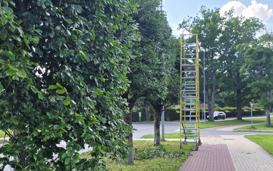 Jūlijā paveiktais Kuldīgas pilsētā