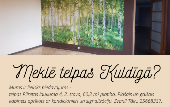 Meklē gaišu un plašu kabinetu?