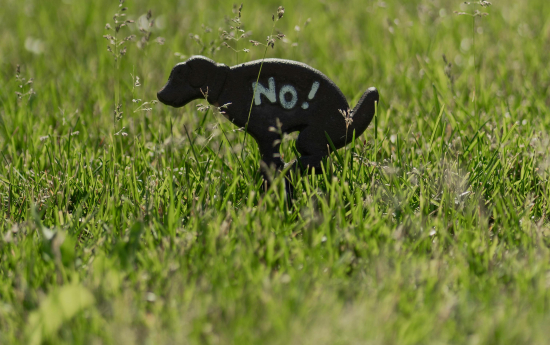 Lūdzu, savāc aiz sava suņa!