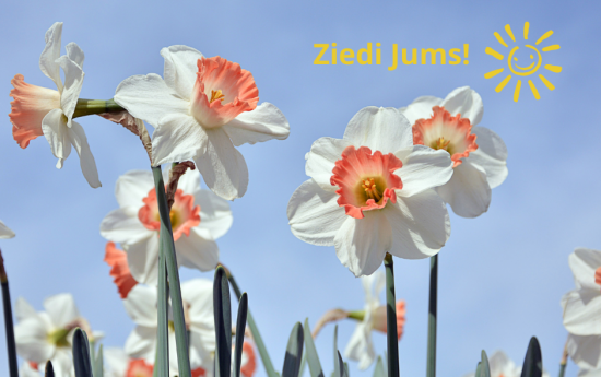 Ziedi Jums!