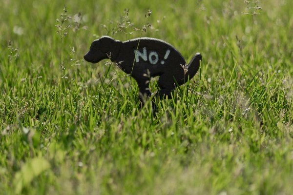 Lūdzu, savāc aiz sava suņa!