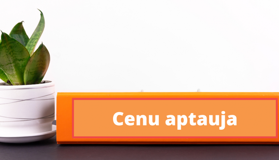 Cenu aptauja - būvdarbi Dzintaru ielā 2, Kuldīgā