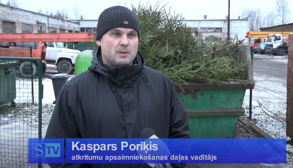 Ko pēc svētkiem darīt ar Ziemassvētku eglīti