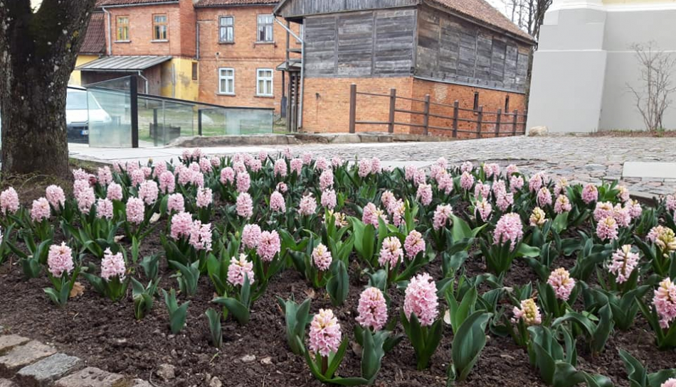 Pavasaris Kuldīgā
