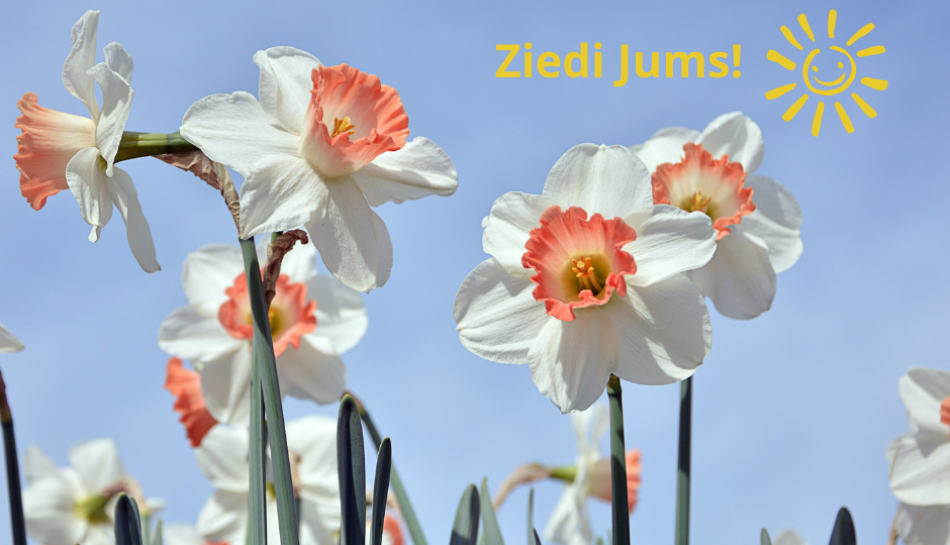 Ziedi Jums!
